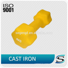 Color cast iron portable dumbbell